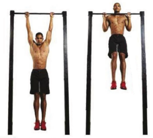 2strictpull-up